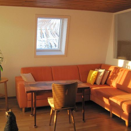 Apartamento Haus Am Weinberg Erzingen Exterior foto