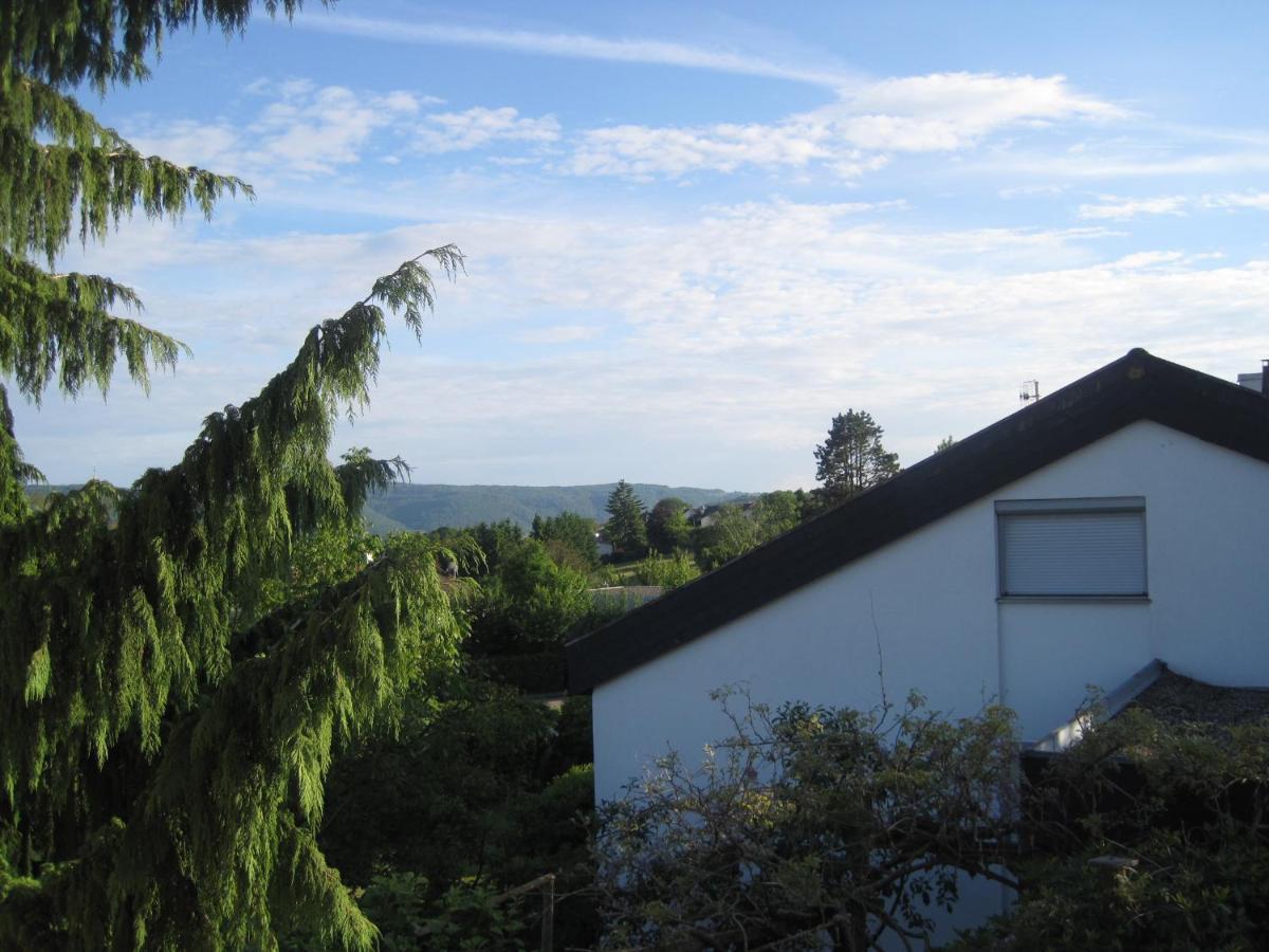 Apartamento Haus Am Weinberg Erzingen Exterior foto
