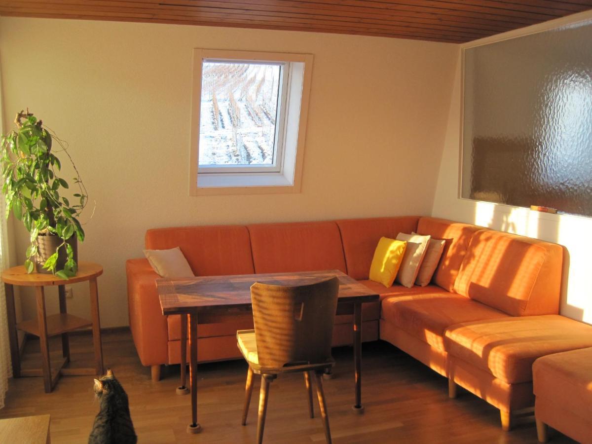 Apartamento Haus Am Weinberg Erzingen Exterior foto